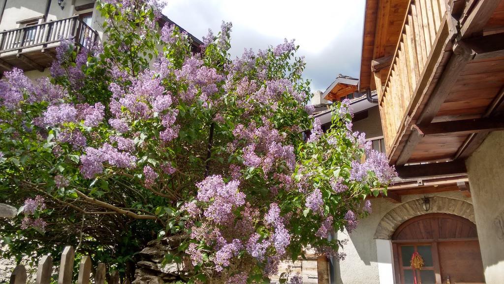 Casa Grande Apartment Pragelato Exterior photo